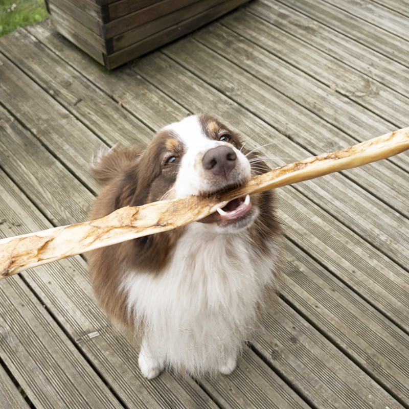 Peau de boeuf 70 cm - friandise naturelle de mastication occupation pour chiens