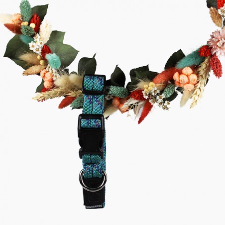 Collier règlable en corde pour chien Islander Reflective bleu Wilderdog Collier règlable en corde pour chien Islander Reflective bleu Wilderdog