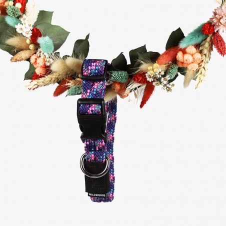 Collier règlable en corde pour chien Razzleberry Reflective violet Wilderdog Collier règlable en corde pour chien Razzleberry Reflective violet Wilderdog