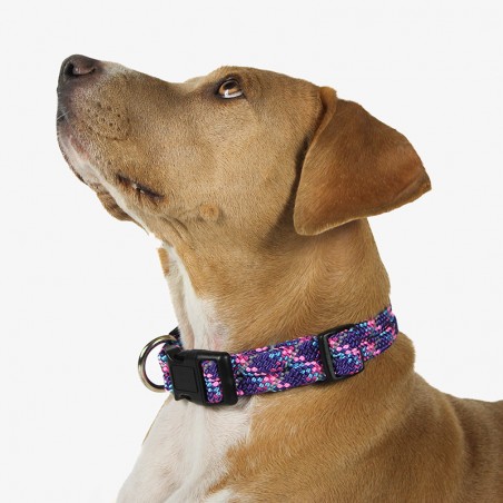 Collier règlable en corde pour chien Razzleberry Reflective violet Wilderdog Collier règlable en corde pour chien Razzleberry Reflective violet Wilderdog
