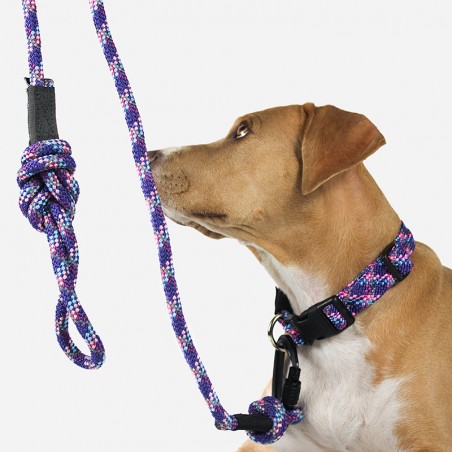 Collier règlable en corde pour chien Razzleberry Reflective violet Wilderdog