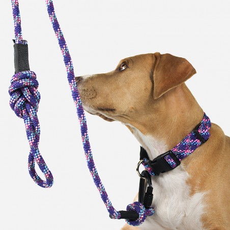 Collier règlable en corde pour chien Razzleberry Reflective violet Wilderdog Collier règlable en corde pour chien Razzleberry Reflective violet Wilderdog