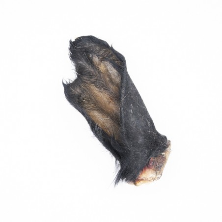Oreilles de boeuf avec poils - friandise naturelle de mastication occupation pour chiens Oreilles de boeuf avec poils - friandise naturelle de mastication occupation pour chiens
