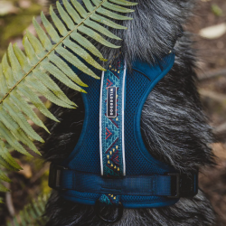Harnais WILDERDOG pour chien