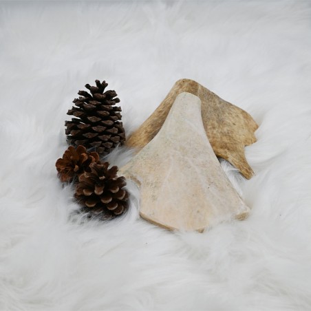 Bois de Daim - friandise de mastication occupation pour chiens Bois de Daim - friandise de mastication occupation pour chiens