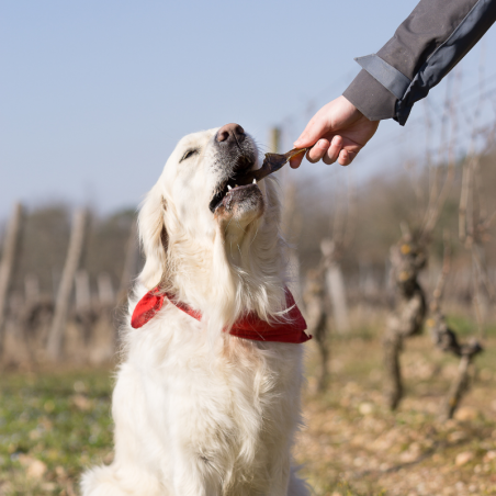 Peaux de Cerf - friandise de mastication occupation pour chiens Peaux de Cerf - friandise de mastication occupation pour chiens