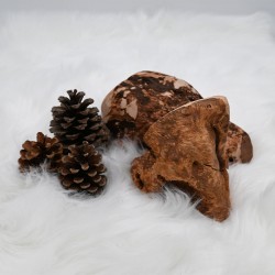 Racine de Bruyère - friandise de mastication occupation pour chiens