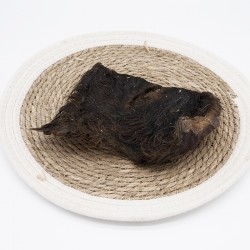 Plaques de peaux de boeuf avec poils - friandises de mastication pour chiens