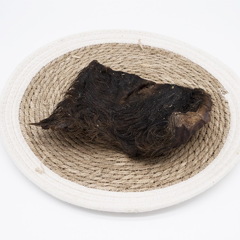 Plaques de peaux de boeuf avec poils - friandises de mastication pour chiens