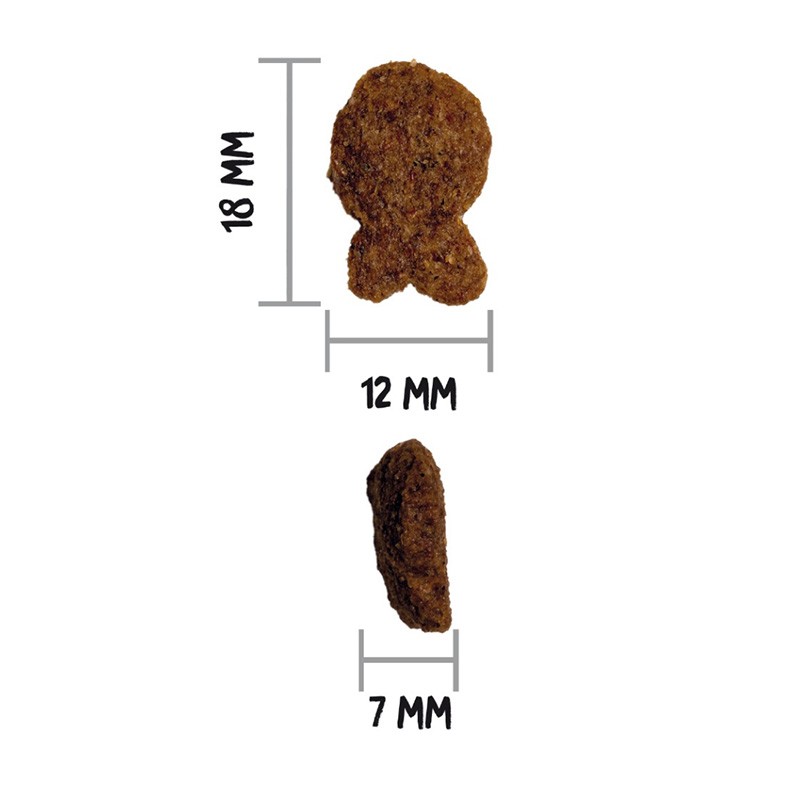 OWNAT - Classic Poisson pour chiens adultes
