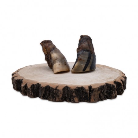 Sabots de boeuf pleins - friandise de mastication pour chiens Sabots de boeuf pleins - friandise de mastication pour chiens