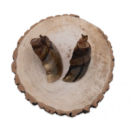 Sabots de boeuf pleins - friandise de mastication pour chiens Sabots de boeuf pleins - friandise de mastication pour chiens