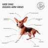 Laika Bone à l'agneau - fromage à mâcher pour chien Laika Bone à l'agneau - fromage à mâcher pour chien