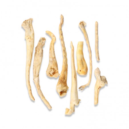 Queue de mouton - friandise de mastication pour chiens Queue de mouton - friandise de mastication pour chiens