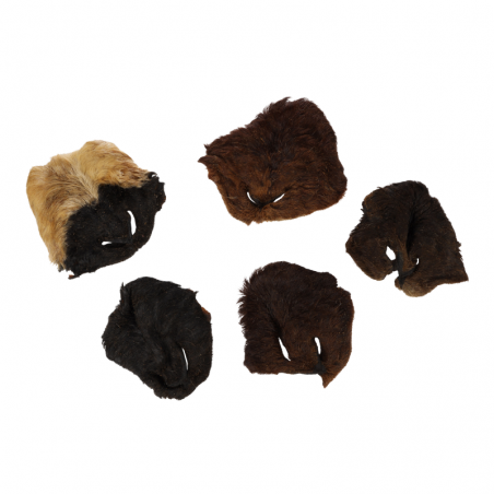 Nez de mouton avec poils - friandise de mastication pour chiens