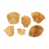 Nez de mouton - friandise de mastication pour chiens Nez de mouton - friandise de mastication pour chiens