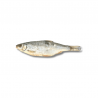 Gardon - friandise de mastication pour chiens et chats Gardon - friandise de mastication pour chiens et chats