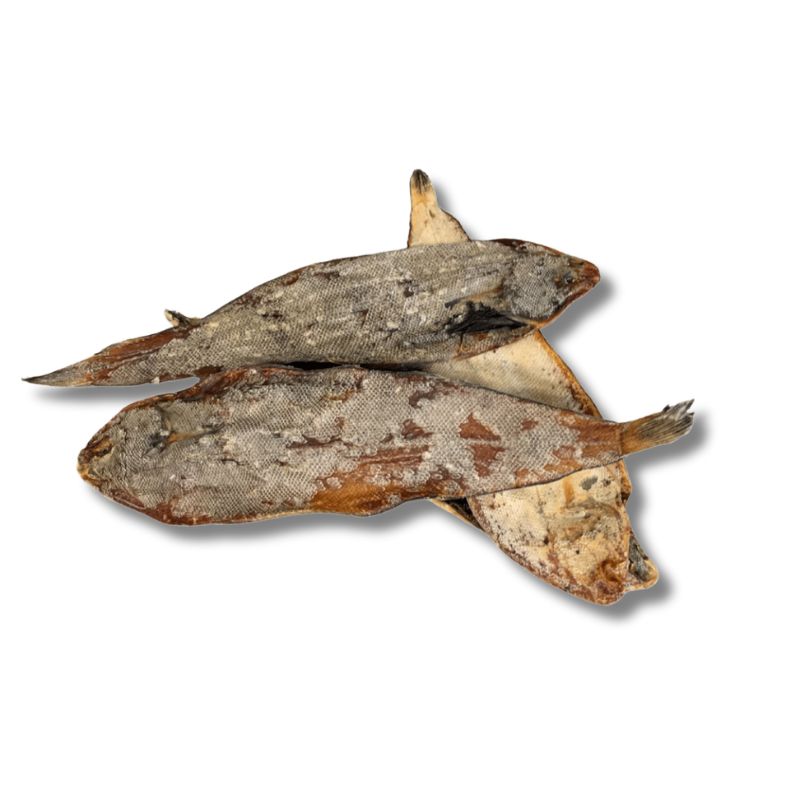 Sole commune - friandise de mastication pour chiens