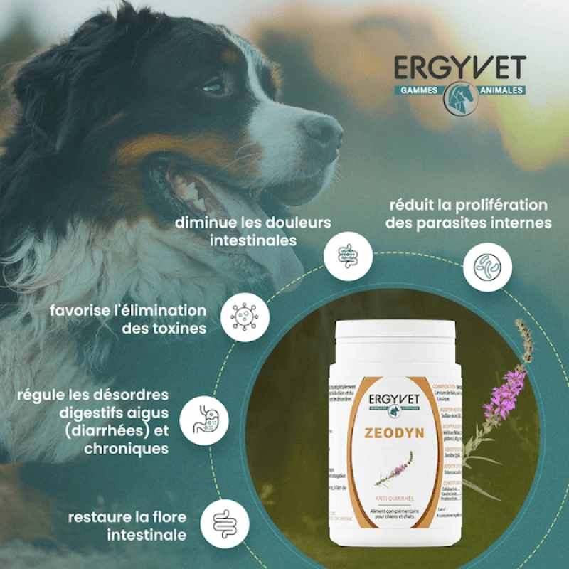 Zeodyn - anti-diarrhée & probiotiques pour chiens et chats