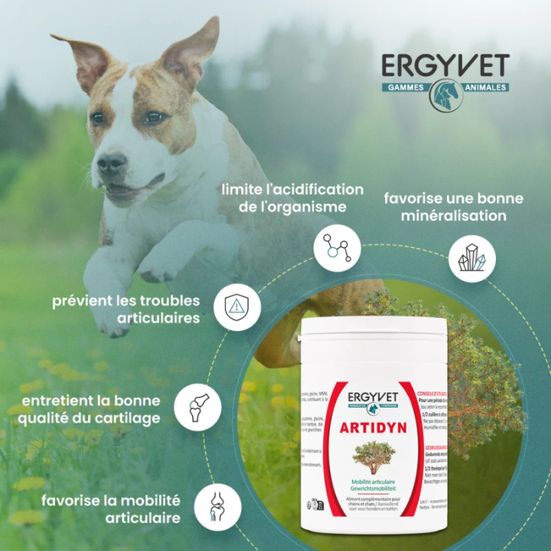Artidyn - compléments alimentaires articulations pour chiens et chats