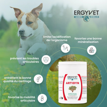 Artidyn - compléments alimentaires articulations pour chiens et chats Artidyn - compléments alimentaires articulations pour chiens et chats