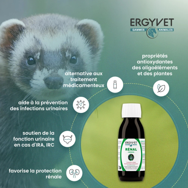 Ergyvet Rénal - protection rénale et urinaire pour chiens et chats