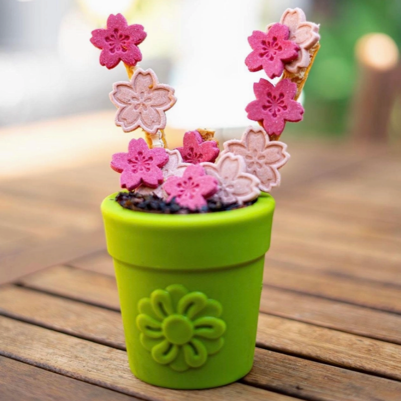 Le Pot de Fleurs - Jouet à garnir pour chiens Sodapup