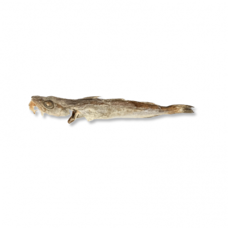 Merlan - Friandise de mastication pour chiens Merlan - Friandise de mastication pour chiens
