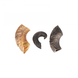 Corne de mouton 200g - friandise de mastication pour chiens