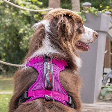 Harnais WILDERDOG pour chien Harnais WILDERDOG pour chien