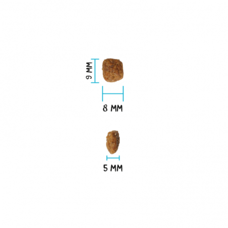 OWNAT Ultra Kitten - croquettes Low Grain pour chatons OWNAT Ultra Kitten - croquettes Low Grain pour chatons