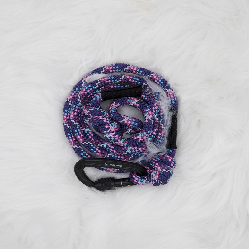 Laisse corde Razzleberry Reflective pour chien - WILDERDOG