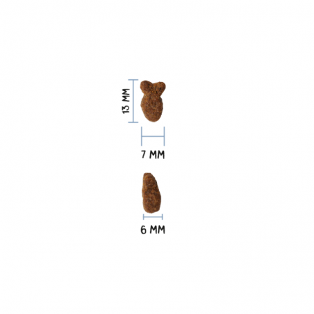 OWNAT Ultra Young Sterilized Fish - croquettes Low Grain pour chats adultes stérilisés OWNAT Ultra Young Sterilized Fish - croquettes Low Grain pour chats adultes stérilisés