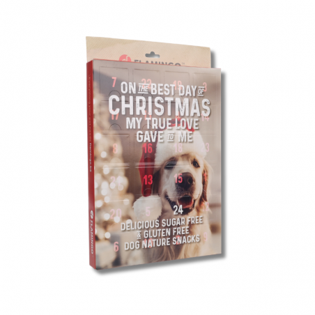 Calendrier de l'Avent pour chiens - Flamingo