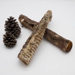 Trachée de boeuf 30cm - friandise de mastication occupation pour chiens