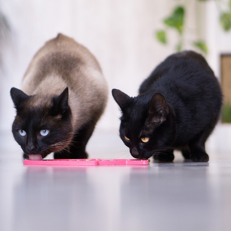 LickiMat Felix - Tapis de léchage occupation pour chats et chiens