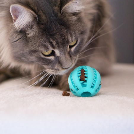 Denta Fun Balle - jouet à garnir occupation pour chiens et chats - TRIXIE Denta Fun Balle - jouet à garnir occupation pour chiens et chats - TRIXIE