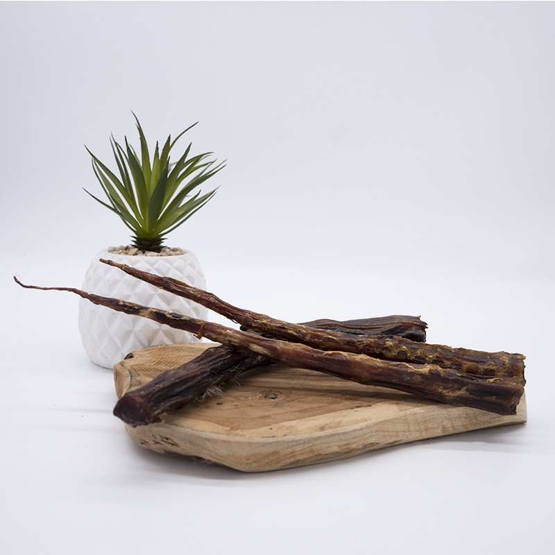 Queue de veau - friandise naturelle de mastication occupation pour chiens