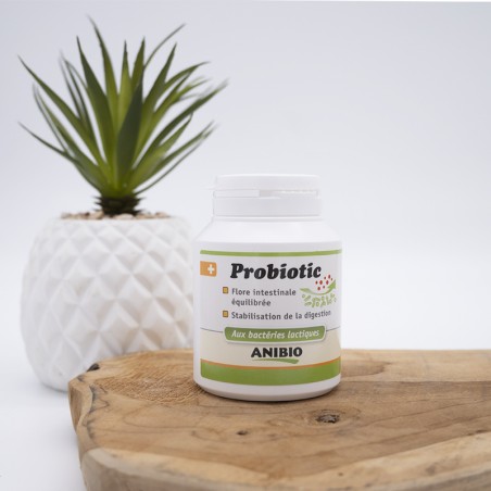 Probiotic - complément alimentaire naturelle probiotiques flore intestinale pour chiens et chats Probiotic - complément alimentaire naturelle probiotiques flore intestinale pour chiens et chats