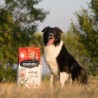 OWNAT - croquette Classic Complet pour chiens adultes OWNAT - croquette Classic Complet pour chiens adultes