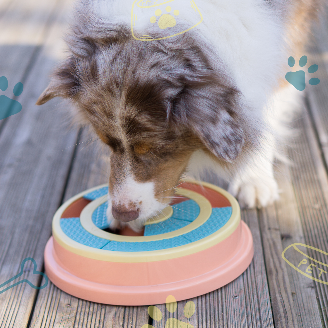 Gamelles interactives