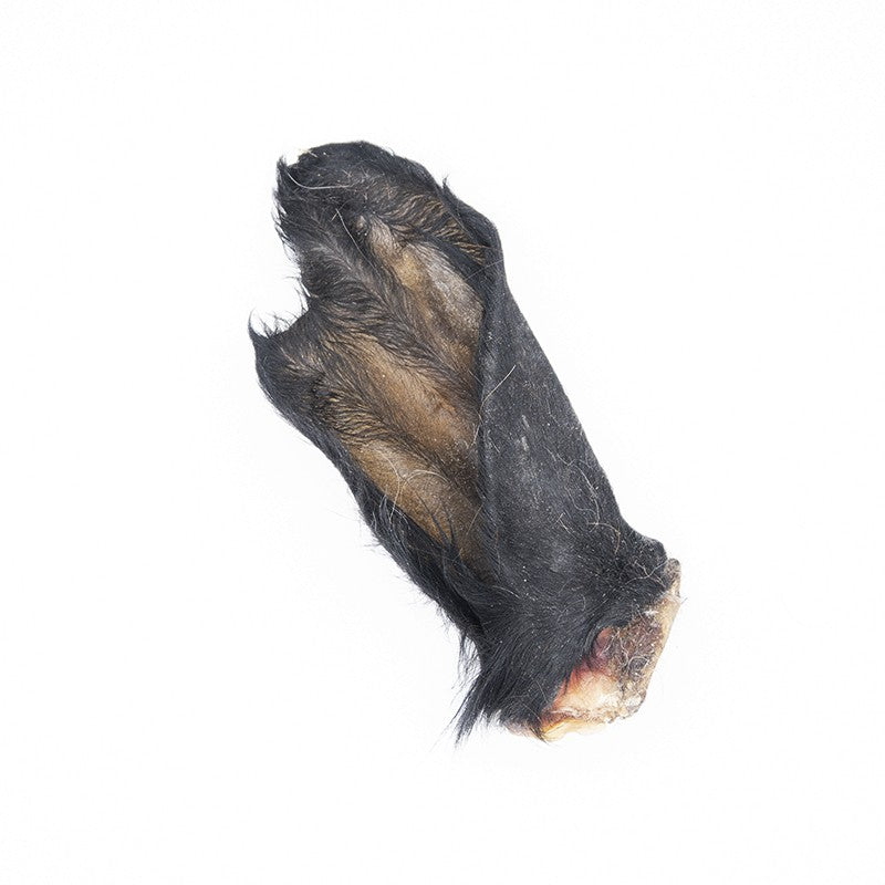 Oreilles de boeuf avec poils - friandise de mastication pour chiens