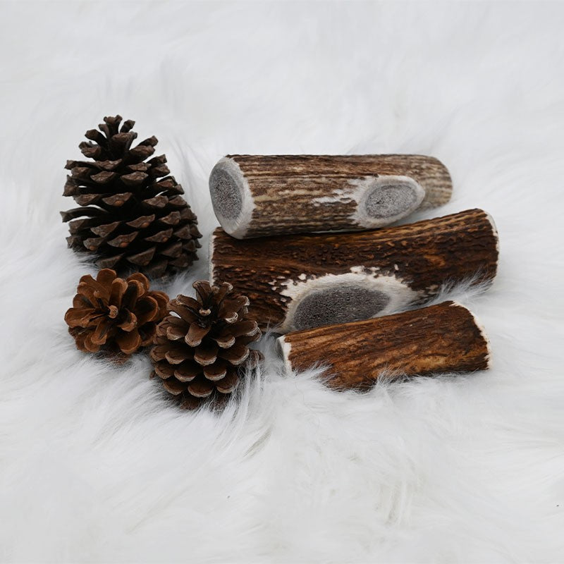 Bois de Cerf Entier - friandise de mastication pour chiens