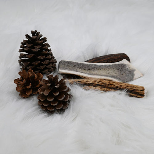 Bois de Cerf Tranché - friandise de mastication pour chiens