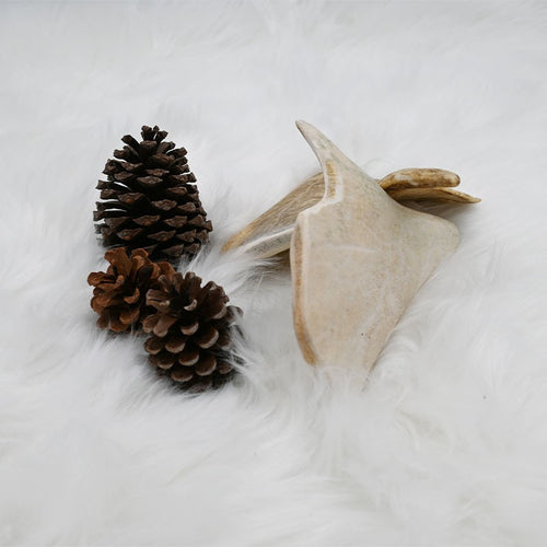 Bois de Daim - friandise de mastication pour chiens