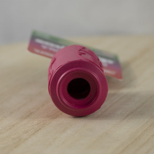 Canette - jouet à garnir pour chien Sodapup