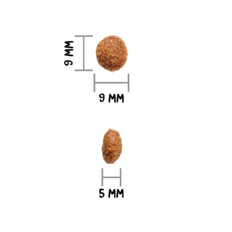 OWNAT - Author Fresh Low Grain à l'agneau et au porc 10kg