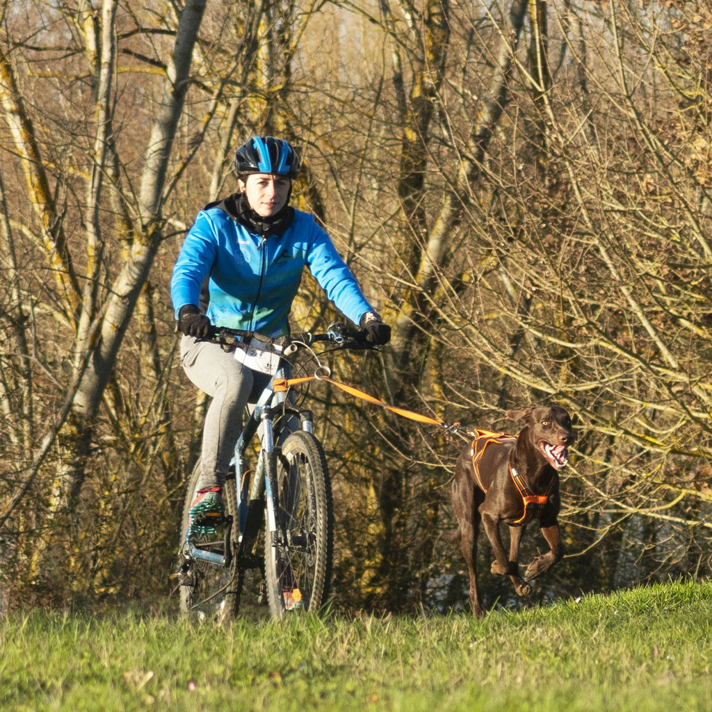 Harnais de Canicross X-BACK One Orange - I-Dog