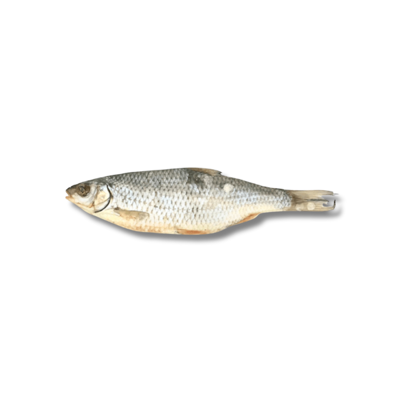 Gardon - friandise de mastication pour chiens et chats