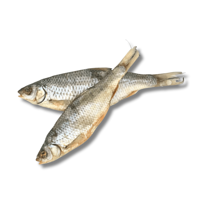 Gardon - friandise de mastication pour chiens et chats